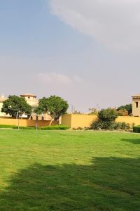 banner-1